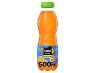 Įvairių vaisių gėrimas CAPPY ICE FRUIT, 500 ml