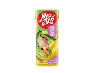 Įvairių vaisių sulčių gėrimas, 200 ml