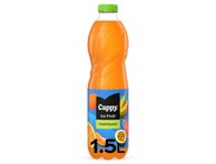 Įvairių vaisių sulčių gėrimas CAPPY, 1.5 l