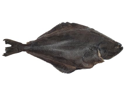 Juodasis paltusas, 1 kg