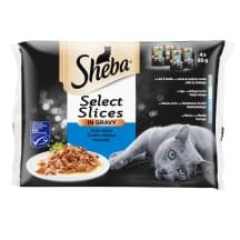 Kačių ėdalas Sheba kons. su žuvimi, 4 x 85 g