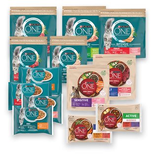 Kačių ir šunų ėdalui PURINA ONE (įv. rūšių), 0,75, 1.5 kg