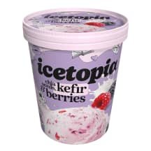 Kefyro sk. led. su liof. uog. ICETOPIA, 310 g