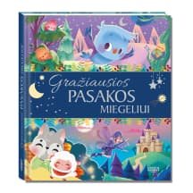Knyga DISNEY. GRAŽIAUS. PASAK. MIEGELIUI