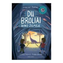 Knyga DU BROLIAI. DINO ŽEMĖJE