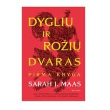 Knyga DYGLIŲ IR ROŽIŲ DVARAS. PIRMA KN.