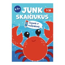 Knyga JUNK SKAIČIUKUS (S)
