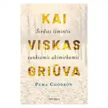 Knyga KAI VISKAS GRIŪVA