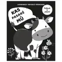 Knyga KAS PASAKĖ MŪ