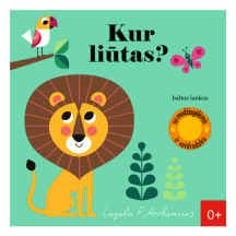 Knyga KUR LIŪTAS?