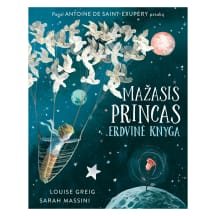 Knyga MAŽASIS PRINCAS. ERDVINĖ KNYGA