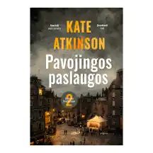 Knyga PAVOJINGOS PASLAUGOS