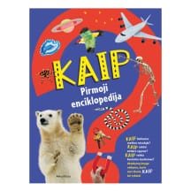 Knyga PIRMOJI ENCIKLOPEDIJA. KAIP?