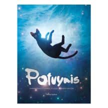 Knyga POTVYNIS