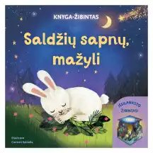 Knyga SALDŽIŲ SAPNŲ, MAŽYLI. KNYGA-ŽIBINTAS