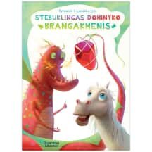 Knyga STEBUKLINGAS DOMINYKO BRANGAKMENIS