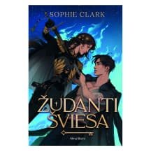 Knyga ŽUDANTI ŠVIESA