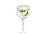 Kokteilių taurės Sante Gin Tonic 4vnt, 560 ml