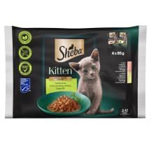Kon. kačių ėd. SHEBA KITTEN, įv. sk., 4 x 85 g