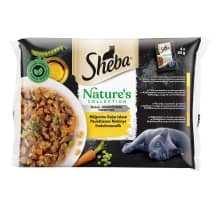 Kons.kačių ėd.rinkinys su paukšt.SHEBA, 4 x 85 g