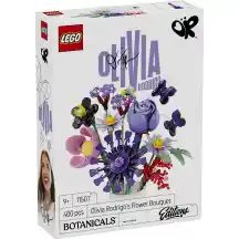 Konstruktorius LEGO BOTANICALS, 11507