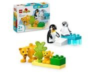 Konstruktorius LEGO Pingvinai ir liūtai 10442