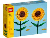 Konstruktorius LEGO SAULĖGRĄŽOS