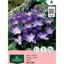 Krokai AGRONOM RUBY GIANT, AG26