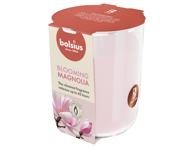 Kvapi žvakė stiklinėje BOLSIUS magnolia, 97, 85 mm