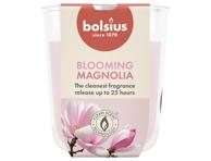 Kvapni žvakė stiklinėje BOLSIUS magnolia, 80, 73 mm