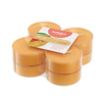 Kvapniosios žvakės BOLSIUS MANGO, 8 vnt