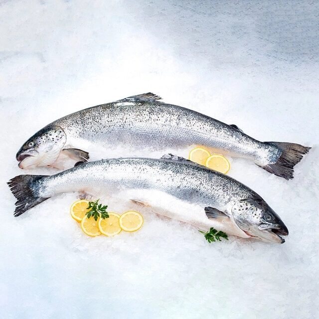 Lašišos, jų pjausniai, gabalai, 1 kg