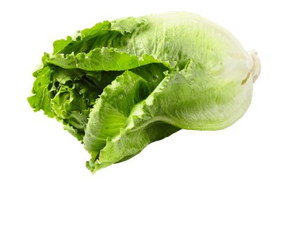 Lietuviška salota „Romaine“, 1 vnt
