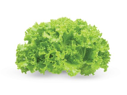 Lietuviškos salota su šaknimis, 1 kg