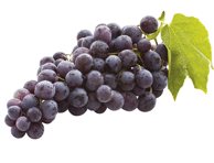 Mėlynosios besėklės vynuogės, 500 g
