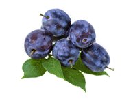 Mėlynosios slyvos LEPOTICA, 1 kg