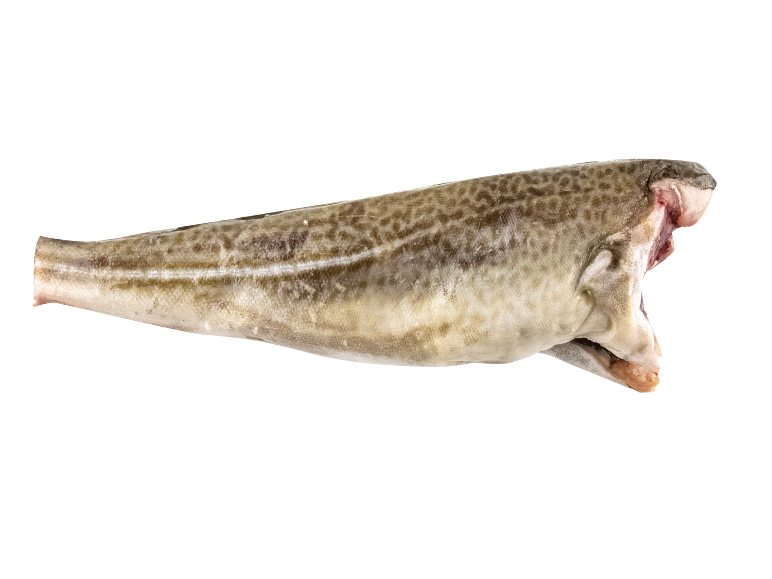 Menkė, 1 kg