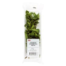 Mėtos RIMI, 20 g