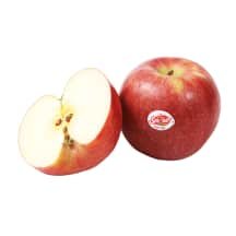 Obuoliai Crimson Snow 90-, KG, 100 mm