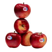 Obuoliai Red Pop, 75-, 1 kl., 1 kg, 85 mm