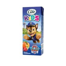 Persikų, brašk. sulčių gėrim. CIDO PP, 0.2 l