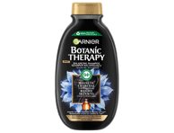 Plaukų šampūnas GARNIER BOTANIC, 400 ml