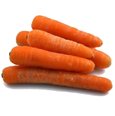 Plautos morkos, 1 kg