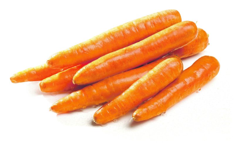 Plautos morkos CLEVER, 1 kg
