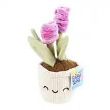 Pliušinis augalas RIMI PLAYTIME, 25 cm