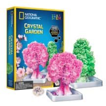 Rinkinys NAT. GEOGRAPHIC CRYSTAL GARDEN