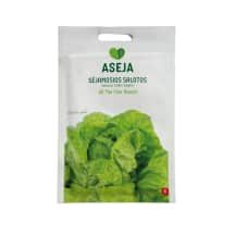 Sal. sėklos ASEJA ALL THE YEAR ROUND, 2 g