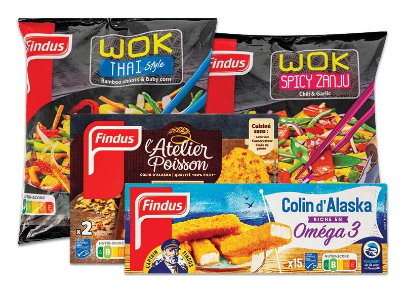 Šaldytiems produktams WOK THAI ir FINDUS, 250 g