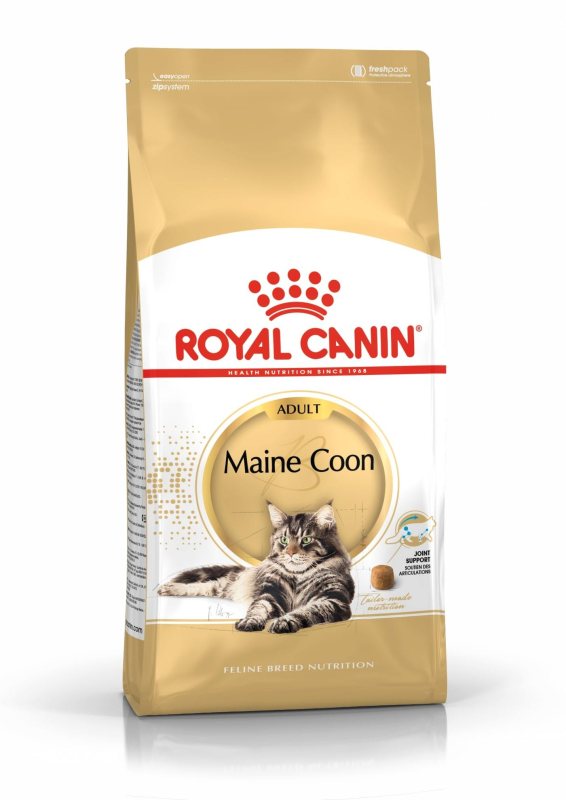 Sausas ėdalas meinkūno katėms ROYAL CANIN MAINE COON, 2 kg