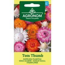 Sėklos AGR. Šlamučiai Tom Thumb mišinys